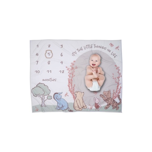 Disney Pooh Bear and Pals Photo Opp Milestone Fleece Baby Blanket