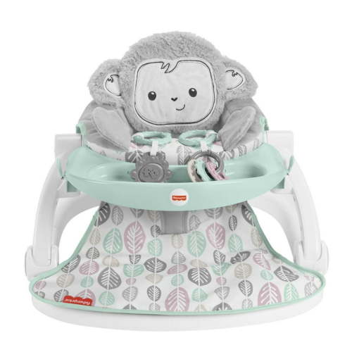 Fisher-Price Sit Me Up Floor Seat, SnugaMonkey