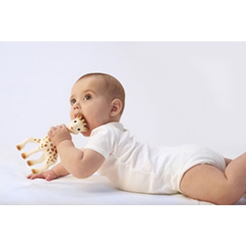 Teething Ring - Soft Model