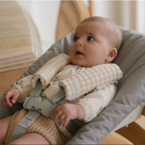 Stroller Suspenders Protector Vichy Rose - Minicoton