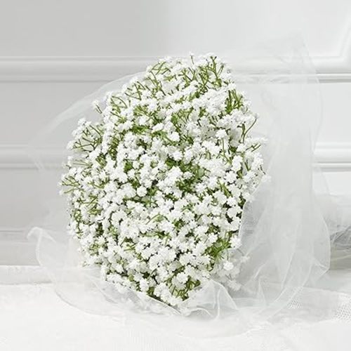 Dolicer 22 Pcs Babys Breath Artificial Flowers, White Long Stem Baby Breath Flowers Artificial Bulk, Real Touch Fake Babys Breath Gypsophila for Wedding Bridal Bouquet Party Arrangements Home Decor