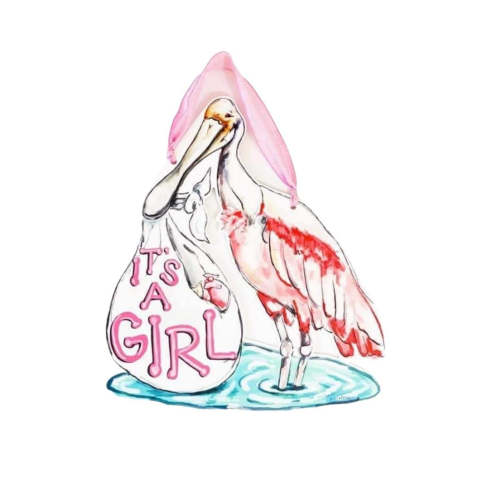 It's Girl Spoonbill Door Hanger