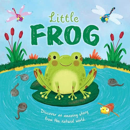 Nature Stories: Little Frog-Discover an Amazing Story from the Natural World: Padded Board Book Board book – April 19, 2022