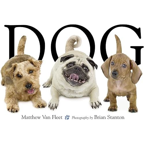 Dog Novelty Book – Lift the flap, February 6, 2007