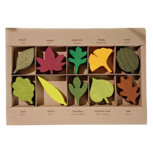Woodland Leaves