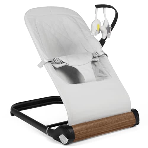 Baby Bouncer Chair - Comfortable Support for Your Little One's Blissful Moments (Normal, Light Grey)