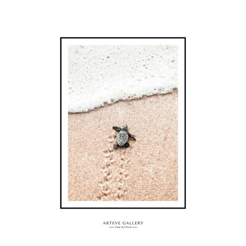 Photograph Baby Sea Turtle Print. Soft Beige Coastal and Animal Printable Wall Art