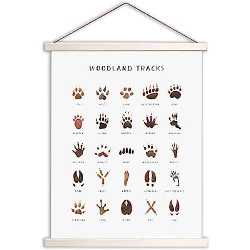 Woodland Tracks Hanging Poster, Canvas Artwork Woodland Nursery Decor 16x20 Inch, Animal Tracks Field Guide Sign, Forest Nursery Decor, Boy Nursery Wall Decor, Jungle Nursery Decor For Kids