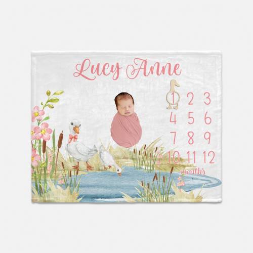 Girl Goose Milestone Blanket, Gender Neutral Milestone Blanket, Month Baby Blanket, Geese Baby Blanket, Geese Nursery B88