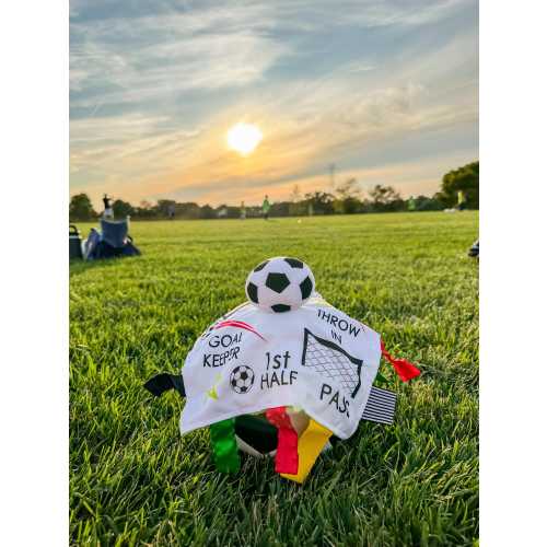 Baby Jack & Co 10x10” Soccer Football Sports Lovey Sensory Plush - Tag Toys - Baby Stroller Toy - MVP Baby Ball Toy - MLS Messi Ronaldo