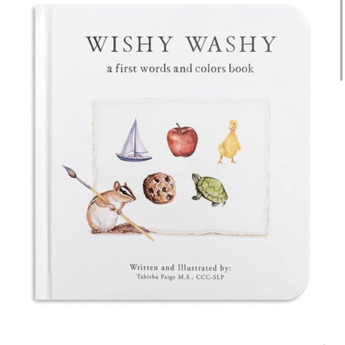 Wishy Washy: A Board Book of First Words and Colors for Growing Minds