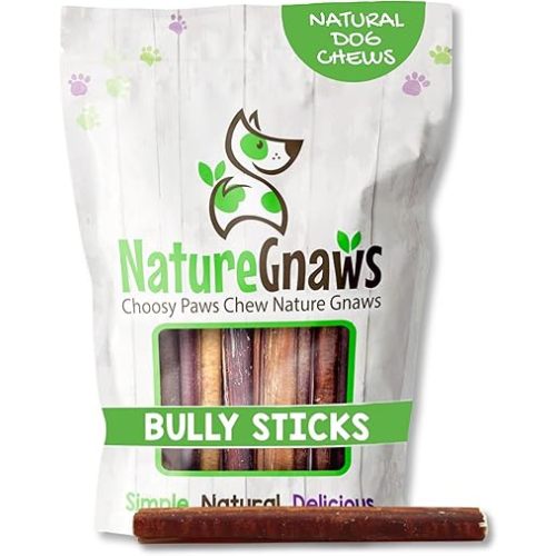 Nature Gnaws Large Bully Sticks for Dogs 5-6" (15 Count) - Thick Long Lasting for Aggressive Chewers and Large Dogs - Natural Beef Dog Chew Bones