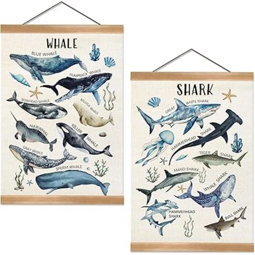 ZTGDA Sharks and Whales Posters, Sea Animals Shark Posters Wall Art,Marine Sharks Decor,Ocean Educational Poster for Kid Classroom Decorations Kids Room Home Nursery Playroom, Set of 2 (Shark-1)