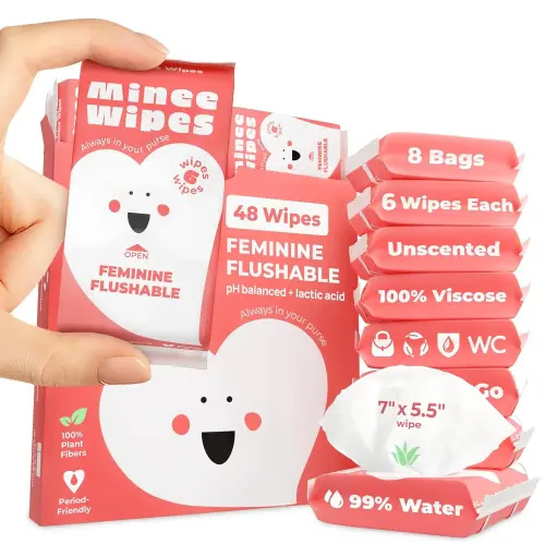 Mini Feminine Wipes - 99% Water & Aloe, pH Balanced, Unscented - 48 Count