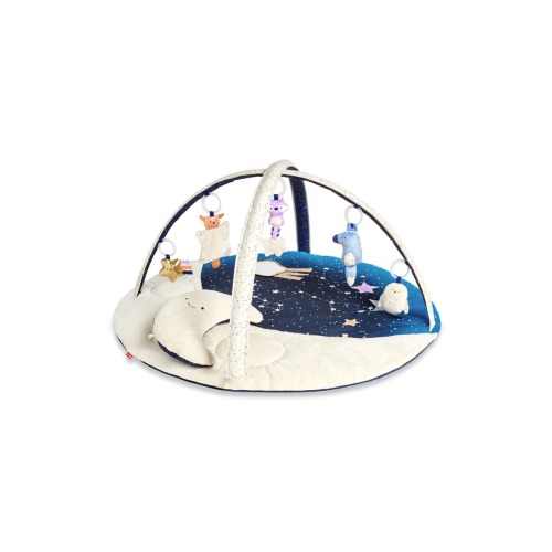 Celestial Dreams Activity Gym, One Size