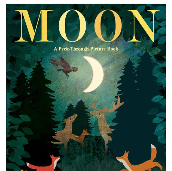 Moon: A Peek-Through Picture Book