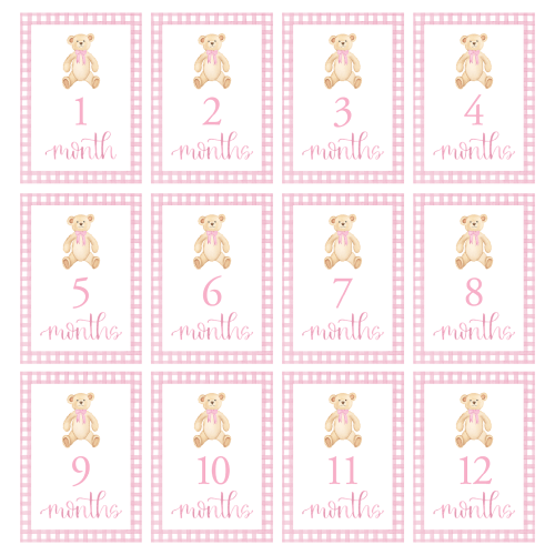 Pink Teddy Bear Watercolor Baby Milestone Cards — Mulberry & Elm