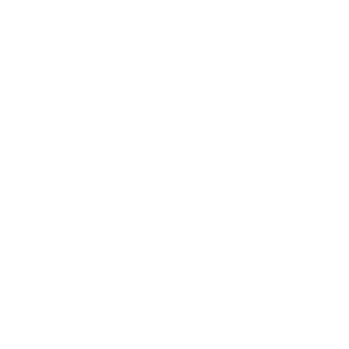 Babyzen YOYO Bassinet - Little Folks NYC