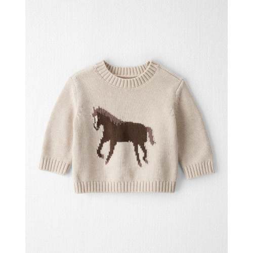 Western Rodeo Sweater | Carter's