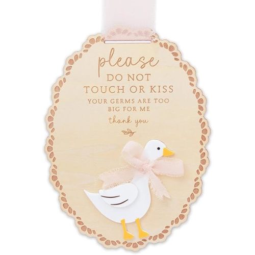 Please Do Not Touch or Kiss Baby Sign, Please Do Not Touch Baby Wooden Sign (Goose Pink)