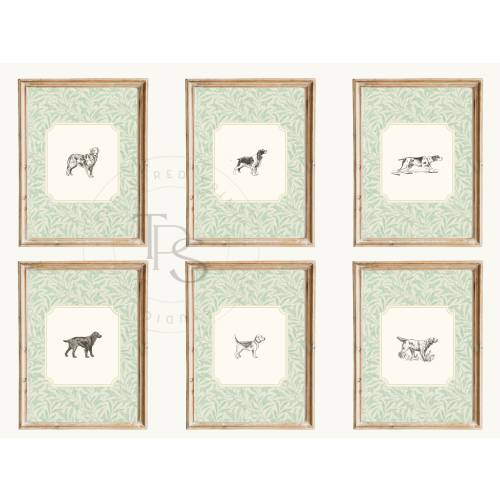 Dog Vintage Print Nursery Green Set of 6 Grandmillennial