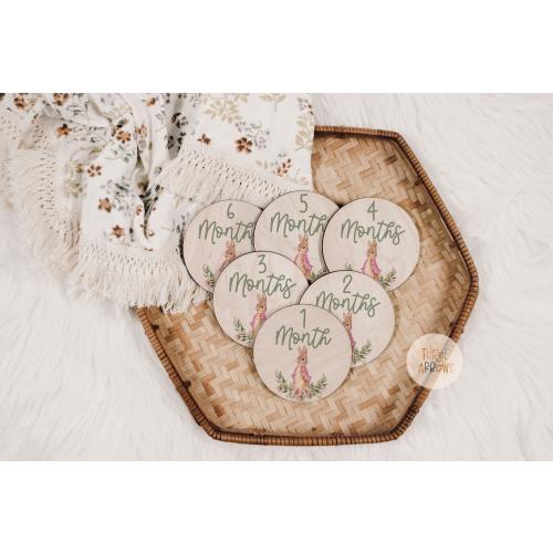 Pink Rabbit Baby Milestone Markers Month to Month Engraved Wood Cutout Wood Baby Milestone Monthly Milestone Picture Prop New Baby Gift