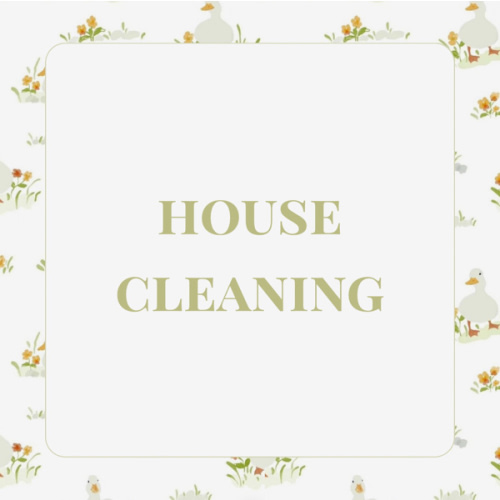 House Cleaning