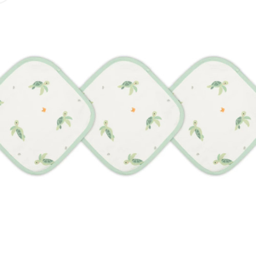 Turtle Washcloth Set