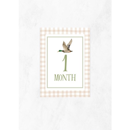 Beige Mallard Baby Milestone Cards | Baby Shower | Baby Photos | Duck Theme | Months 1-12 | Baby Boy