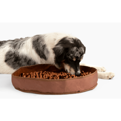 Stimulating Feeder Mat
