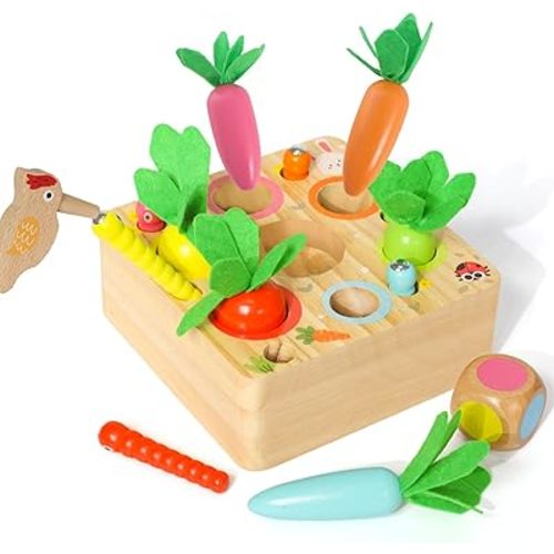 Ancaixin Montessori Toys for 1 Year Old, Magnetic Wooden Toys for 12 Months Boys and Girls, Educational Carrot Toy for Toddlers, Shape Sorting Matching Puzzle for Kids 1 2 3, Birthday Easter Gifts