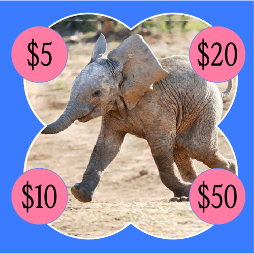 Parental Leave Fund