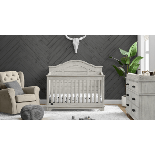 Asher Collection