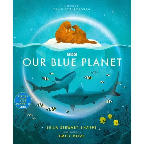 Our Blue Planet - (Our Planet) by Leisa Stewart-Sharpe (Hardcover)