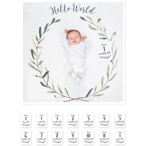 lulujo Baby’s First Year Milestone Blanket and Card Set | 40in x 40in (Hello World)