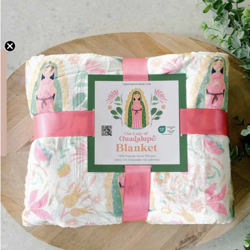 Our Lady of Guadalupe Minky Blanket – House of Joppa