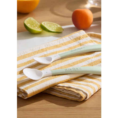 Feeding Spoon, 2-pack