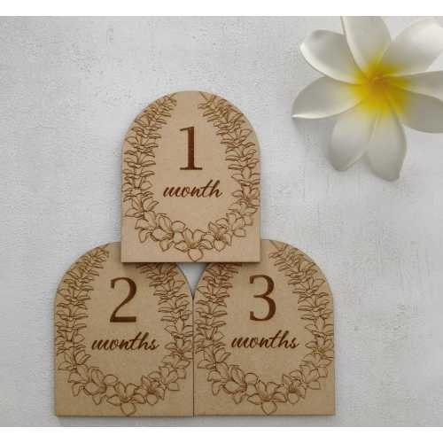 Lei Arch Milestone Plaques
