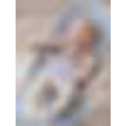 BabyBjörn Bouncer Balance Soft