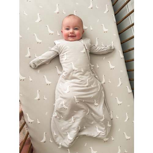 Transitional Swaddle Sleep Sack - Goose / 1.0 TOG