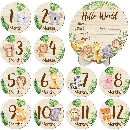 Wooden Baby Monthly Milestone Cards Double Sided Baby Birth Announcement Sign, Hello World Milestone Sign Discs Pregnancy and Baby Shower Gifts for Newborn Photo Props