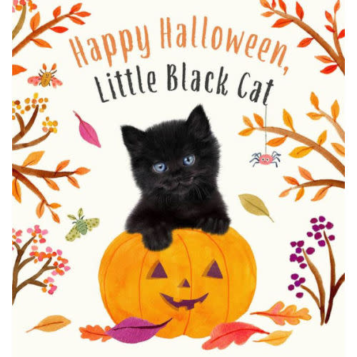 Happy Halloween, Little Black Cat: A Board Book by Amanda Wood, Bec Winnel, Vikki Chu, Board Book | Barnes & Noble®
