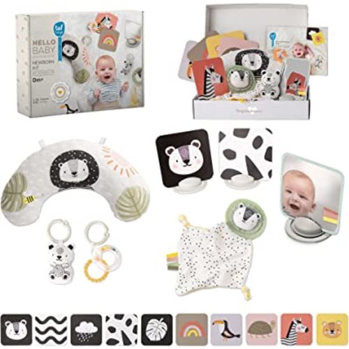 Taf Toys Newborn Developmental Gift Set with 12 Toys Tummy Time Pillow Flash Cards Rattles Baby-Safe Mirror Blankie Best for Newborns & Up Development Montessori for Infant Toys 0-6 Months Babies