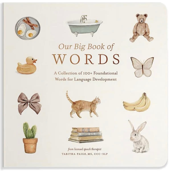 Our Big Book of First Words: A Collection of 100+ Foundational Words for Language Development (Tabitha Paige Children's Book Series)