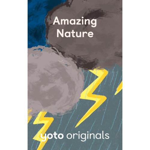 Amazing Nature