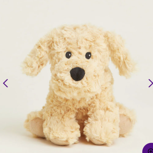 Golden Dog Warmies Junior