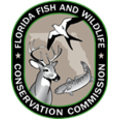 Lifetime Licenses | FWC