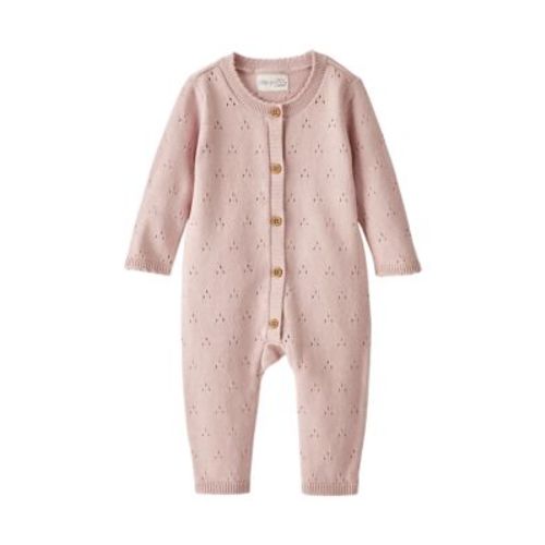 Baby Girls Pointelle Sweater Knit Bodysuit