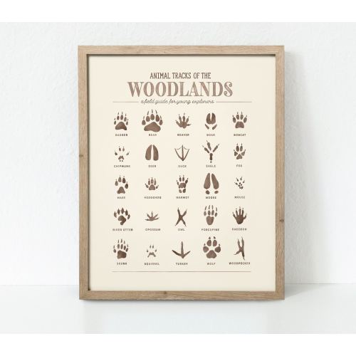 Animal Tracks Print, Woodland Animal Prints Poster, Woodland Nursery Decor, Woodland Nursery, Woodland Art Print, Digital Download