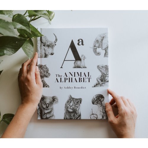Alphabet Book — Studio Sixtyone